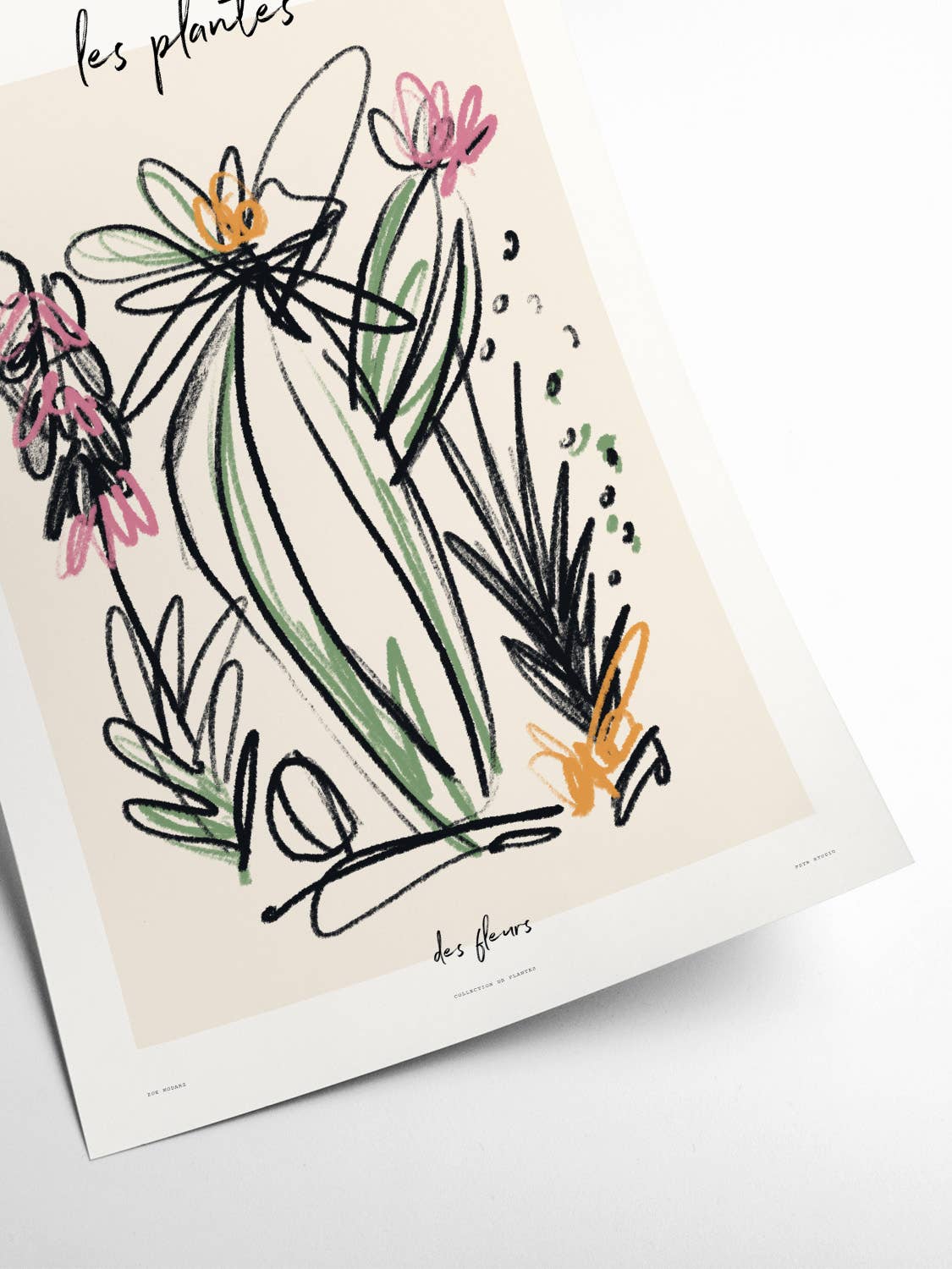 Póster de arte fino Les Plantes Des Fleurs