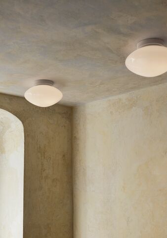 Mist Ceiling/Wall Lamp AP22