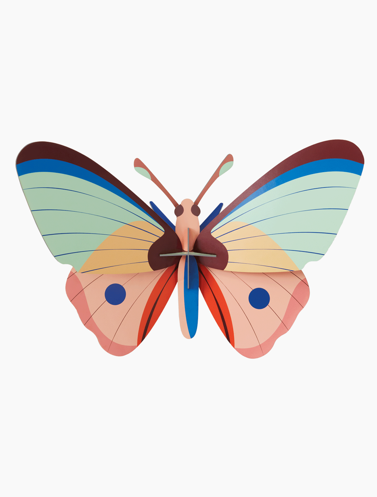 Cattlehart Butterfly