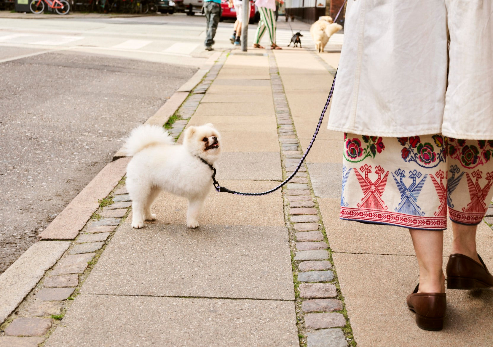HAY DOGS LEASH