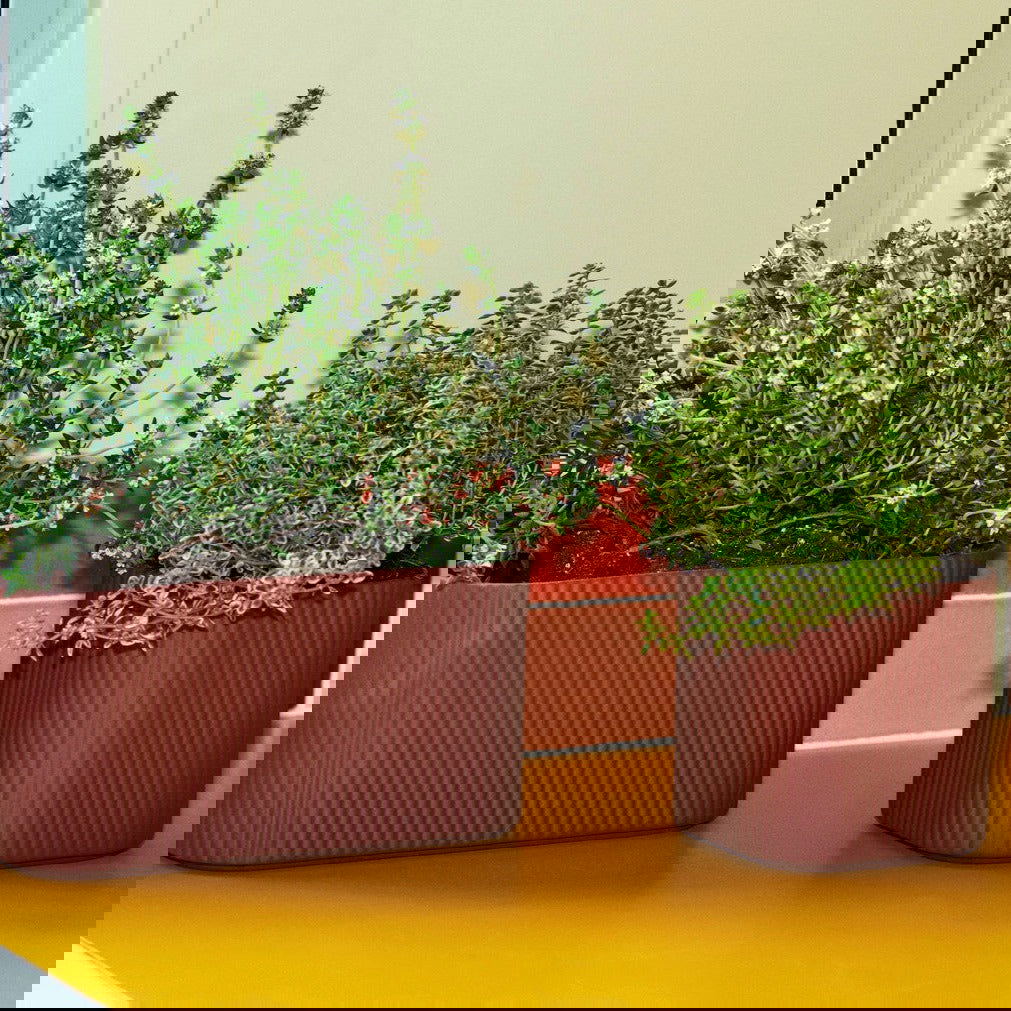 Jarrón Facade - OBJETO -  - 