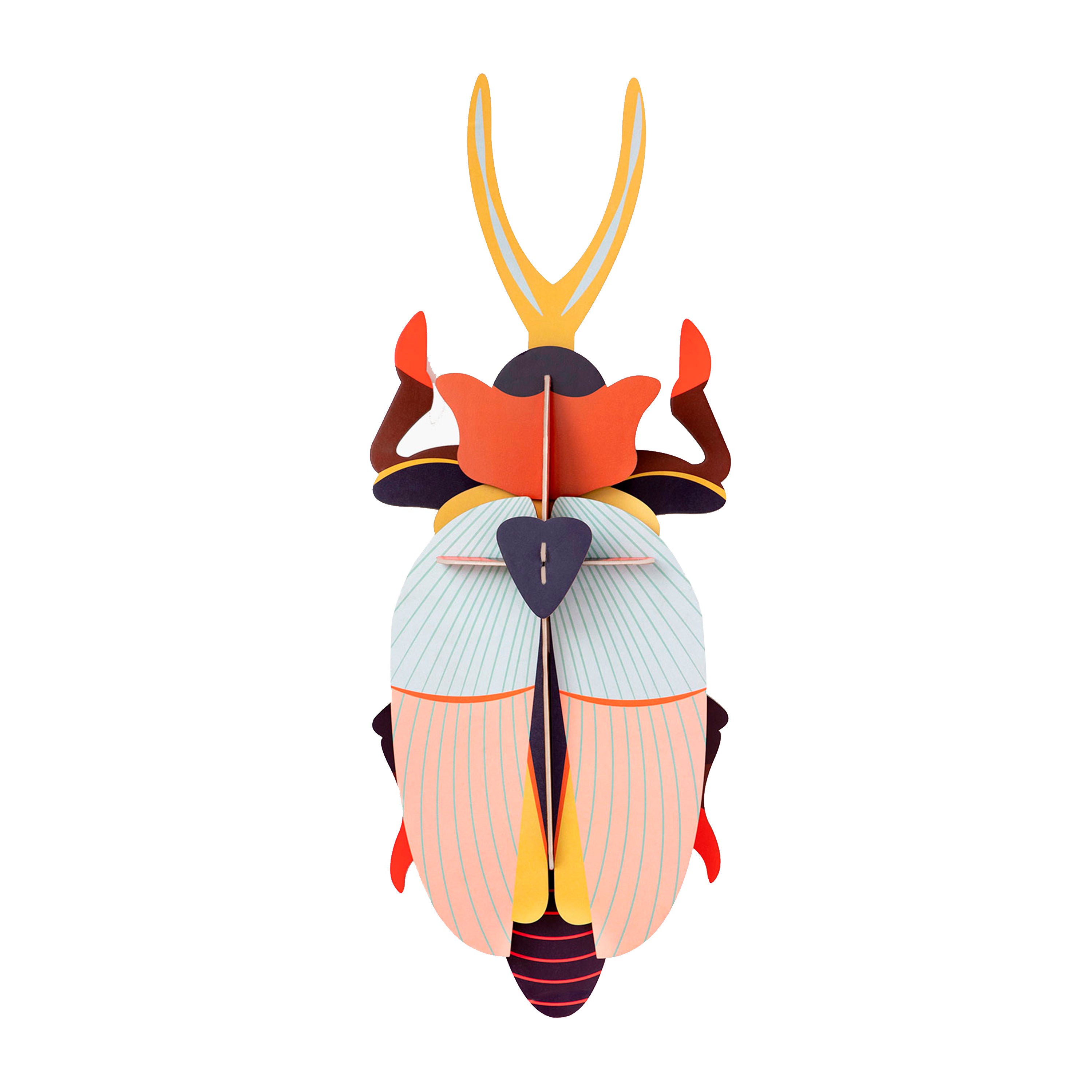 Rhinoceros Beetle XL