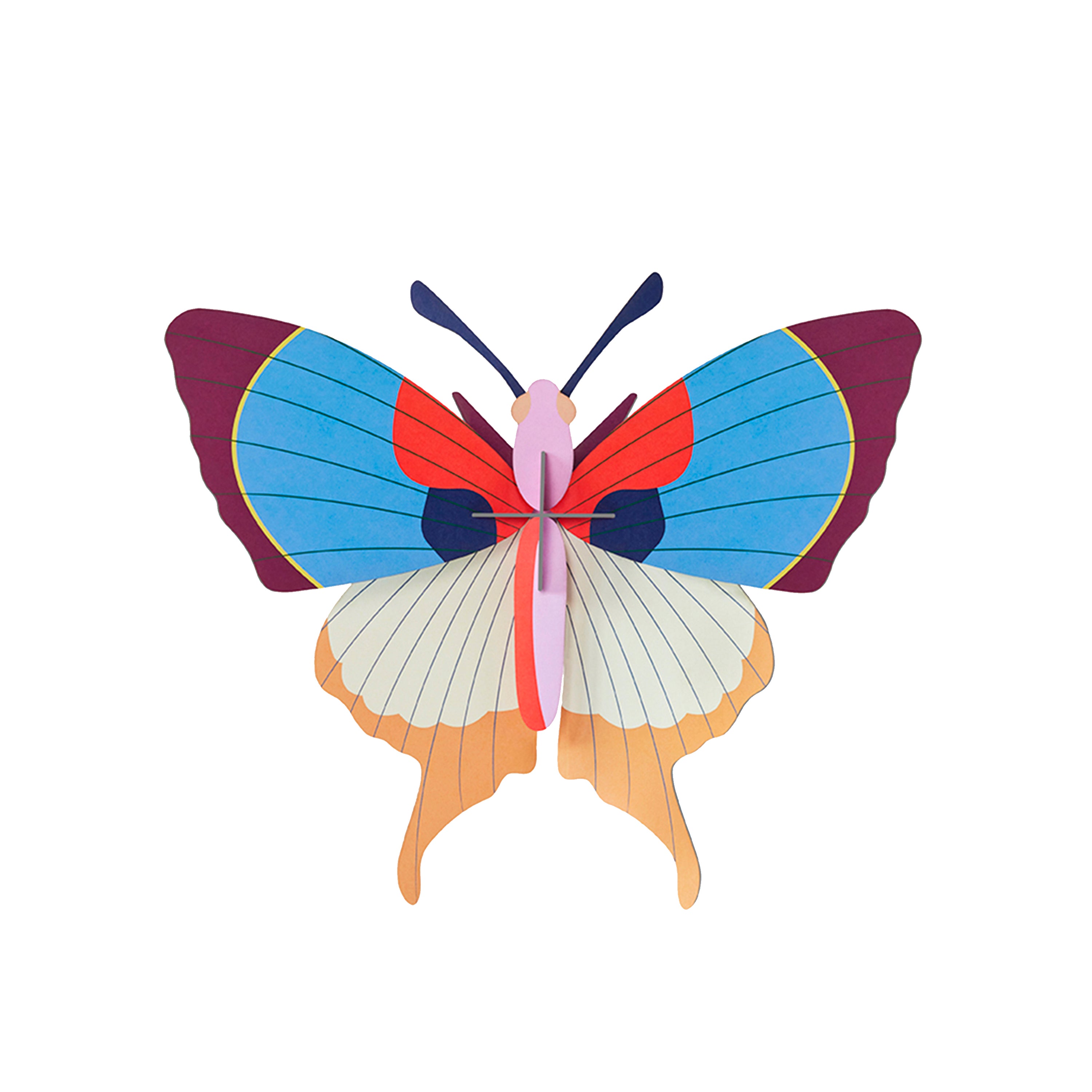 Plum fringe butterfly