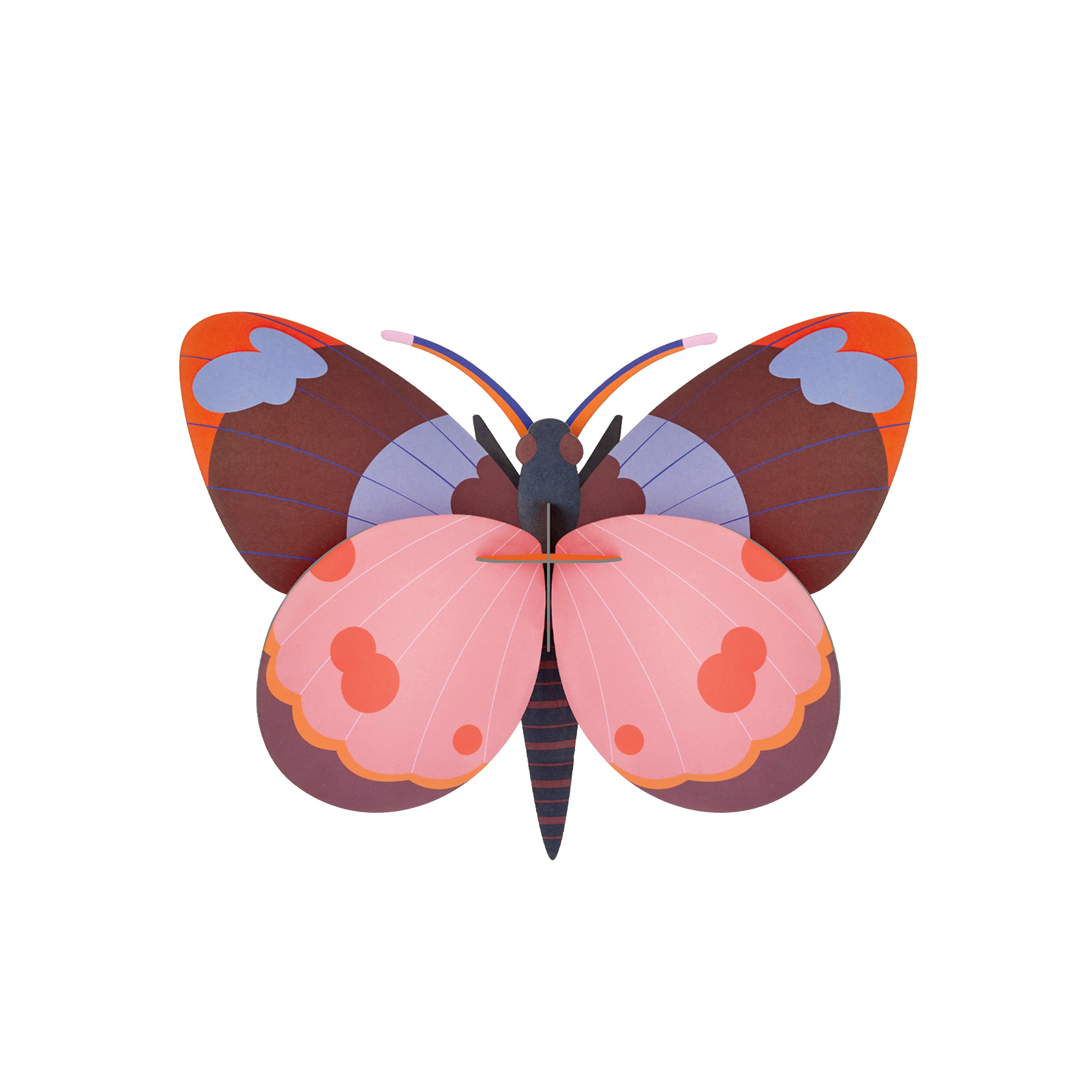 Bellissima butterfly
