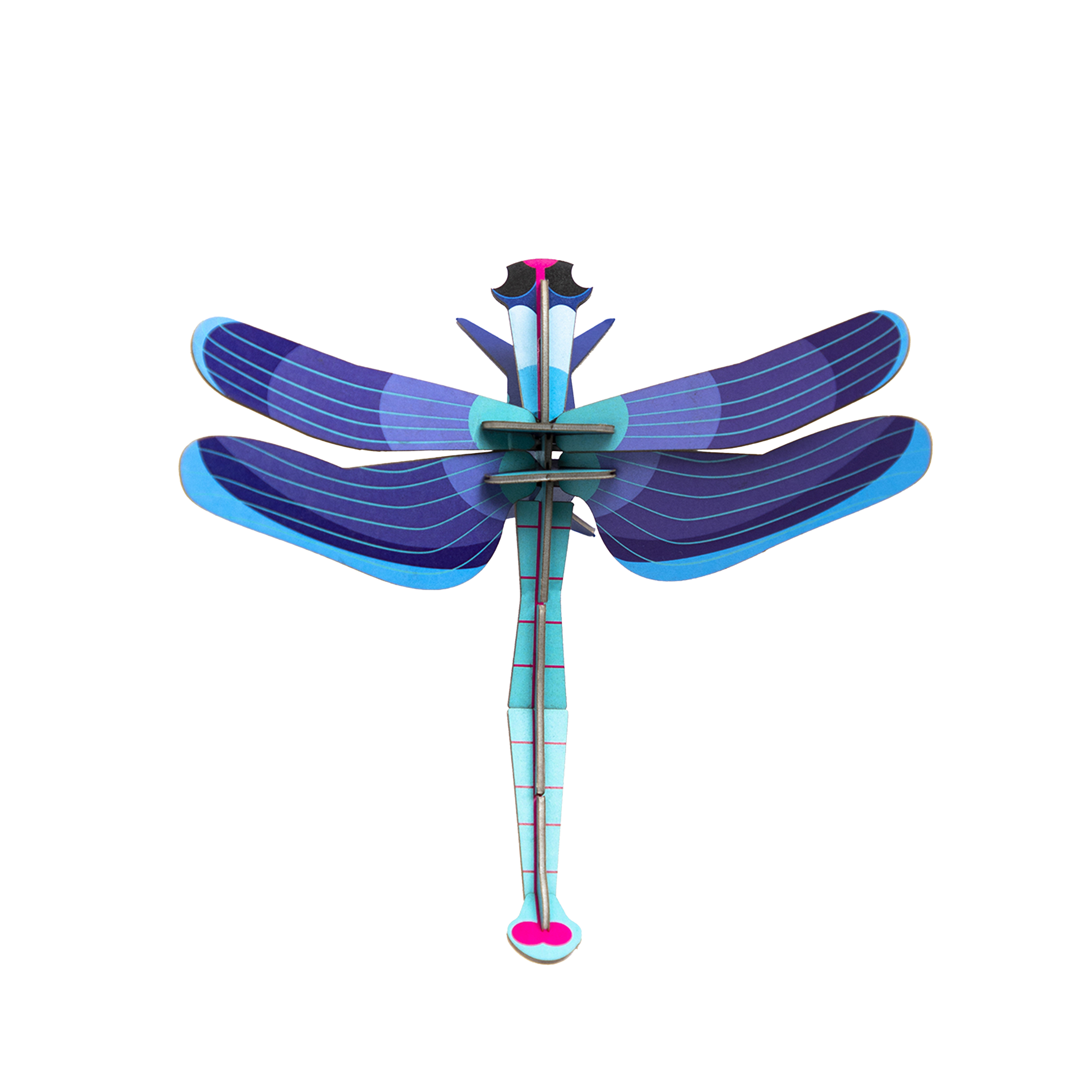Sapphire dragonfly