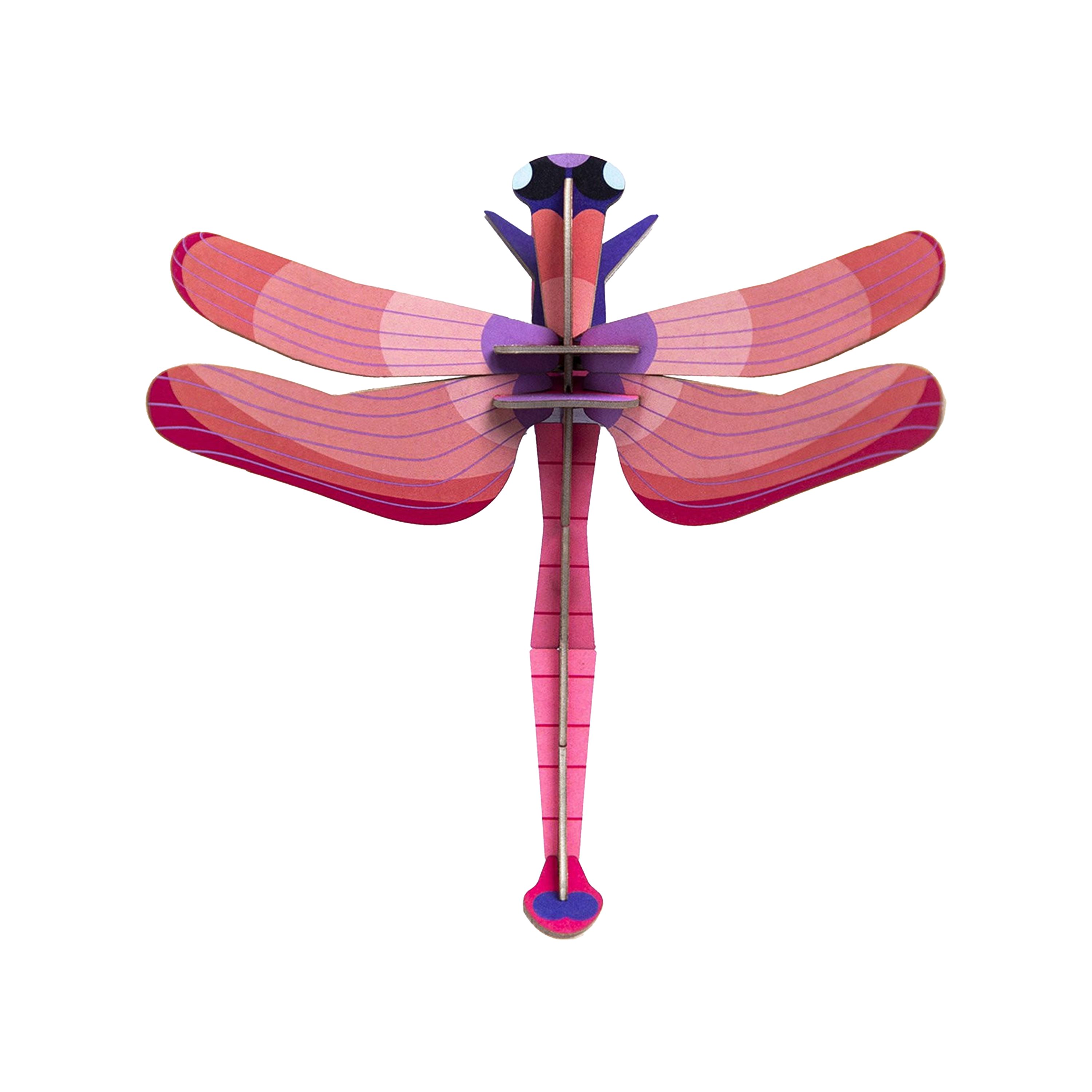 Ruby dragonfly
