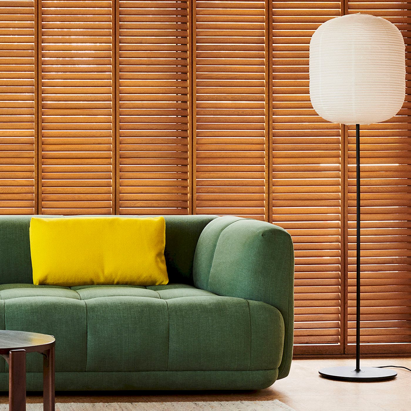 Common Floor Lamp E